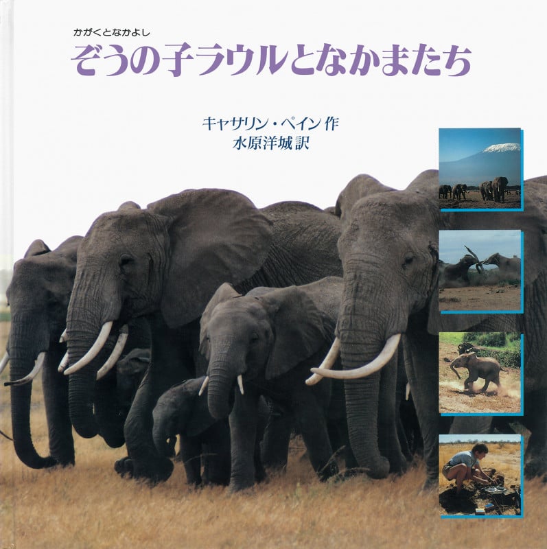 ぞうの子ラウルとなかまたち (大型絵本 かがくとなかよし かがくとなかよし)の詳細を見る