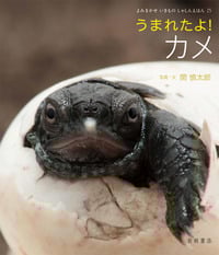 うまれたよ!カメ (よみきかせいきものしゃしんえほん 25)