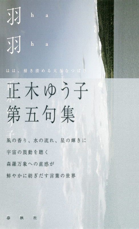 俳論集 起きて、立って、服を着ること | 正木ゆう子のあらすじ・感想
