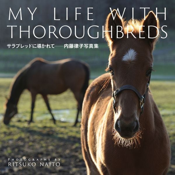 サラブレッドに導かれて ー内藤律子写真集ー