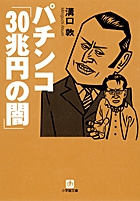 パチンコ「30兆円の闇」 (小学館文庫)