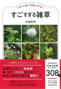 すごすぎる雑草 「ぱっと見」では気づかない (ビジュアルだいわ文庫)