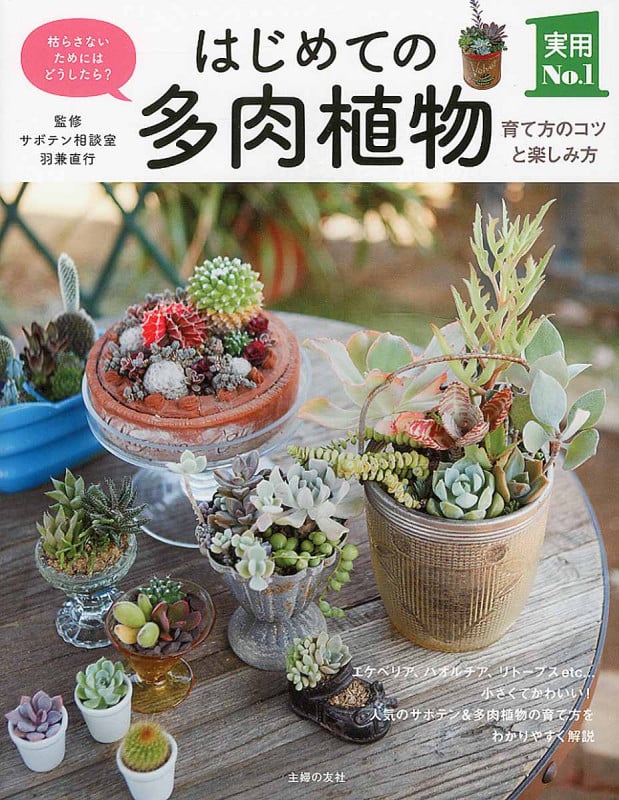 はじめての多肉植物 育て方のコツと楽しみ方 (実用No.1)