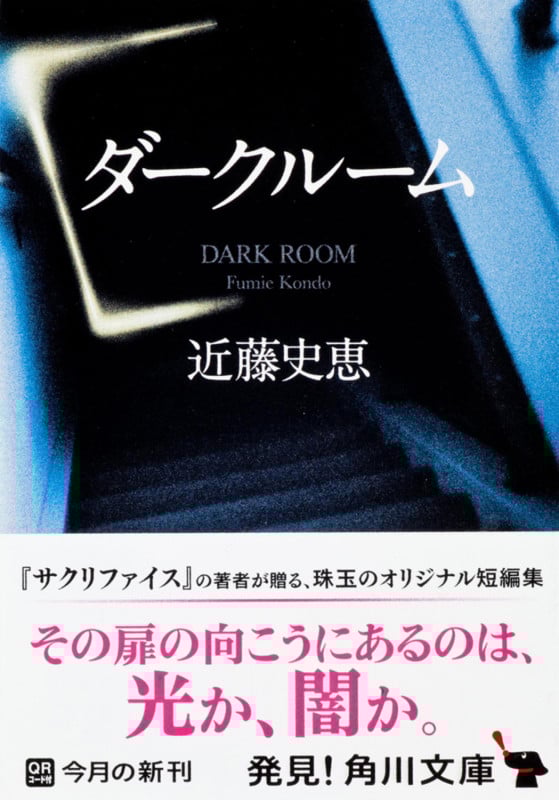ダークルーム (角川文庫)