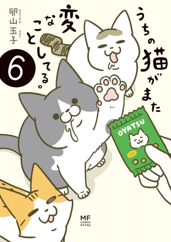 うちの猫がまた変なことしてる。6 (6)