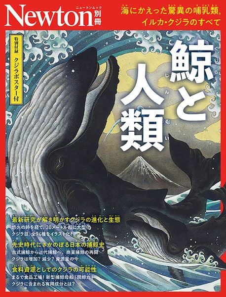 Newton別冊 鯨と人類 (Newton別冊)
