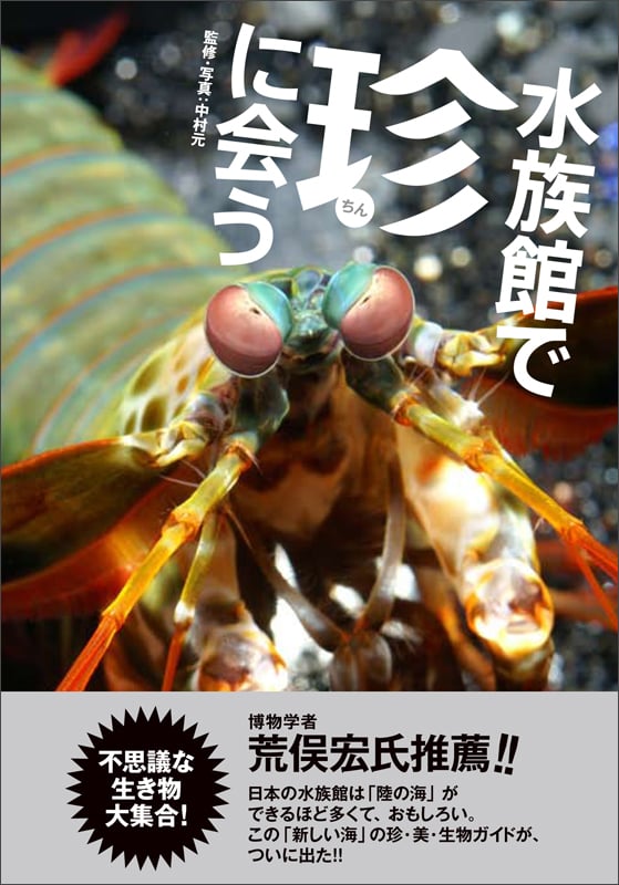 水族館で珍に会うの詳細を見る