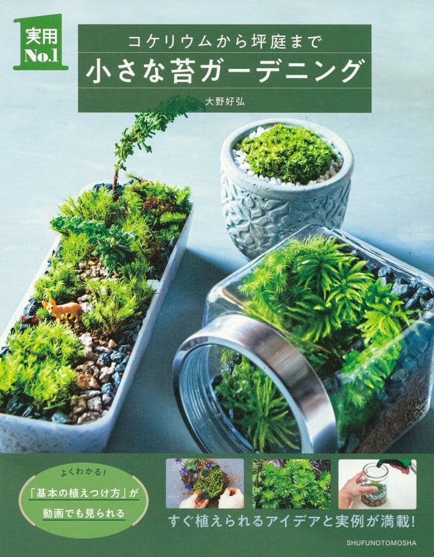 小さな苔ガーデニング (実用No.1シリーズ)