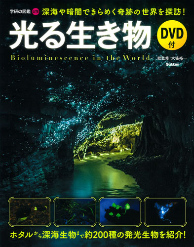 光る生き物 DVD付