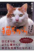 猫ぢから 愛は“無償”にきまっとるの詳細を見る