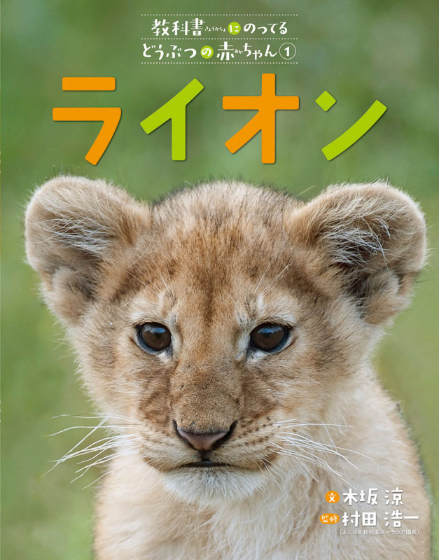 ライオン (教科書にのってるどうぶつの赤ちゃん 1)