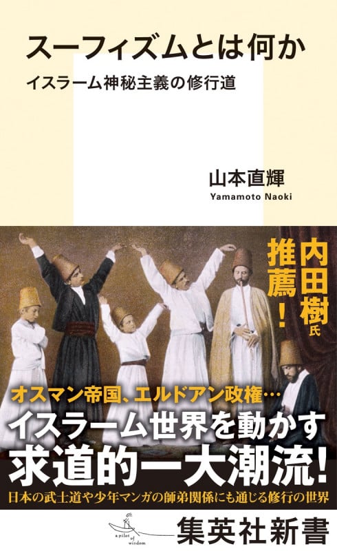 スーフィズムとは何か イスラーム神秘主義の修行道 (集英社新書)