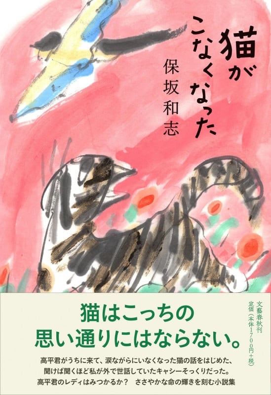 猫がこなくなったの詳細を見る