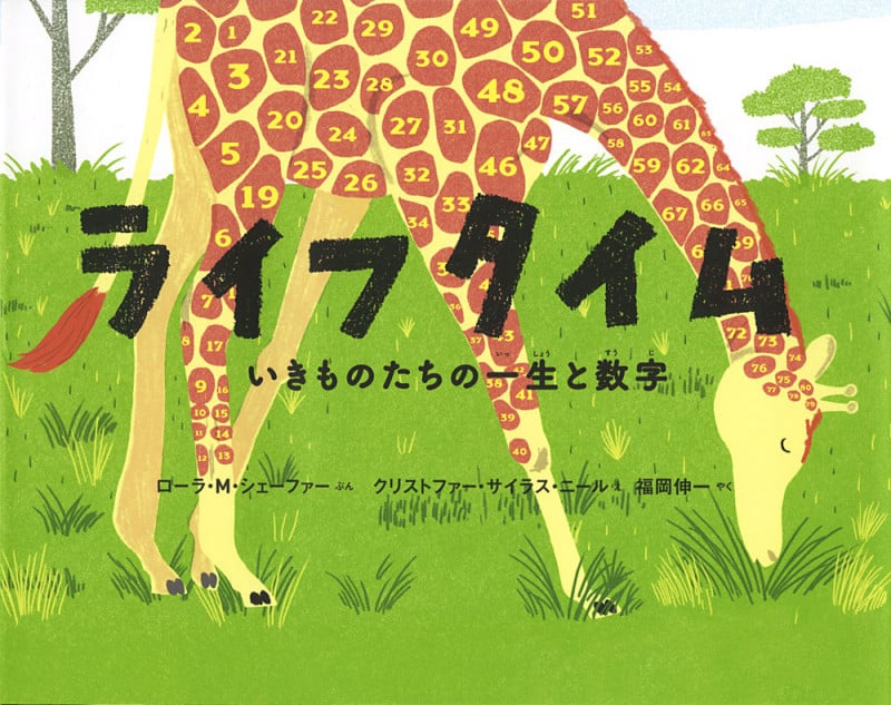 ライフタイム いきものたちの一生と数字 (ポプラせかいの絵本)