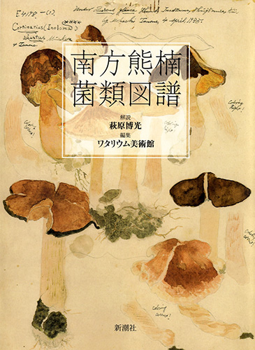 南方熊楠 菌類図譜