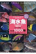 改訂新版 海水魚 ひと目で特徴がわかる図解付き 1000種+幼魚、成魚、雌雄、婚姻色のバリエーション (ネイチャーウォッチングガイドブック)