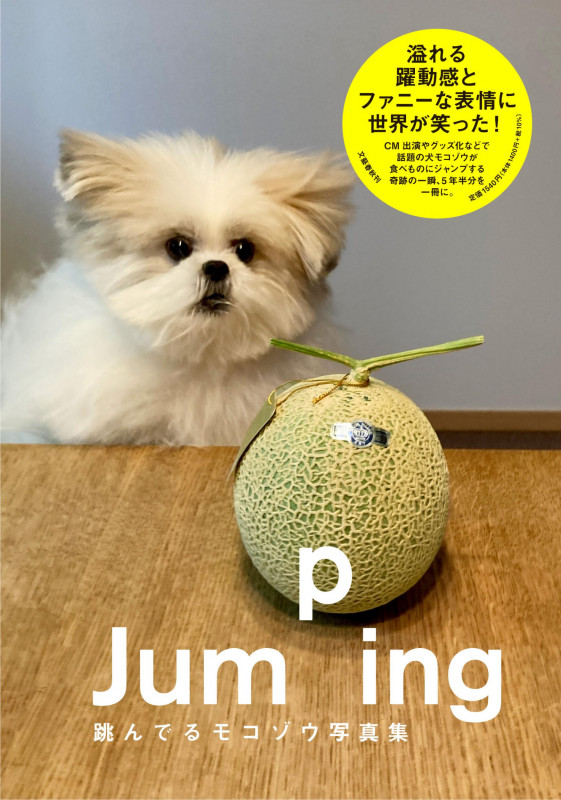 Jumping 跳んでるモコゾウ写真集の詳細を見る