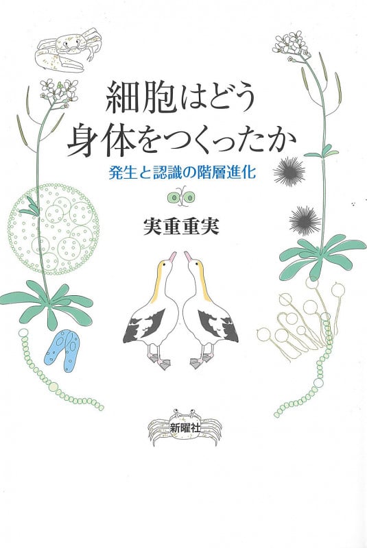 細胞はどう身体をつくったか 発生と認識の階層進化