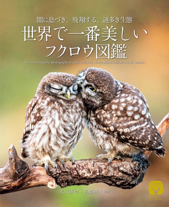 世界で一番美しいフクロウ図鑑 闇に息づき、飛翔する、謎多き生態 (ネイチャー・ミュージアム)