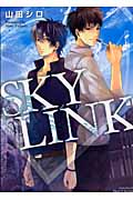 SKY LINK (ミリオンC Hertz)