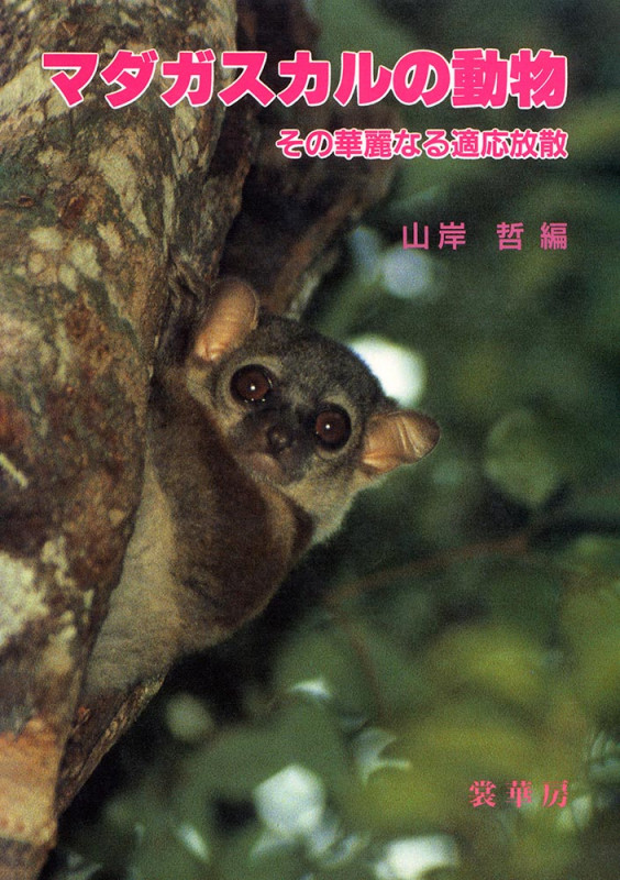 マダガスカルの動物 その華麗なる適応放散