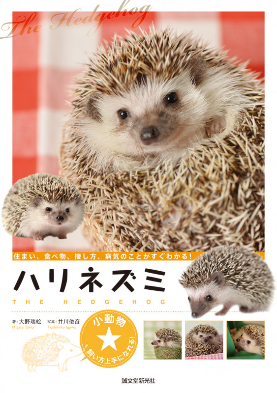 ハリネズミ (小動物飼い方上手になれる!)