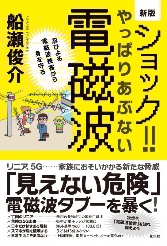 ショック!!やっぱりあぶない電磁波 新版 忍びよる電磁波被害から身を守る