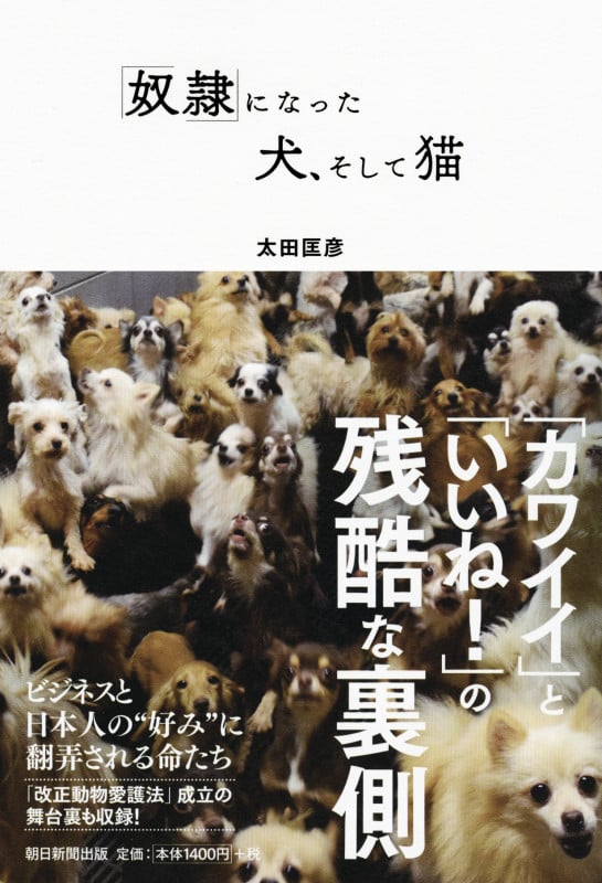 「奴隷」になった犬、そして猫