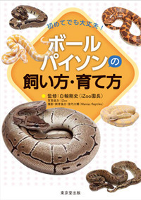 初めてでも大丈夫! ボールパイソンの飼い方・育て方