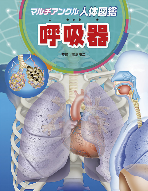 呼吸器 (マルチアングル人体図鑑)