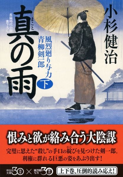 真の雨(下) 風烈廻り与力・青柳剣一郎 (祥伝社文庫)