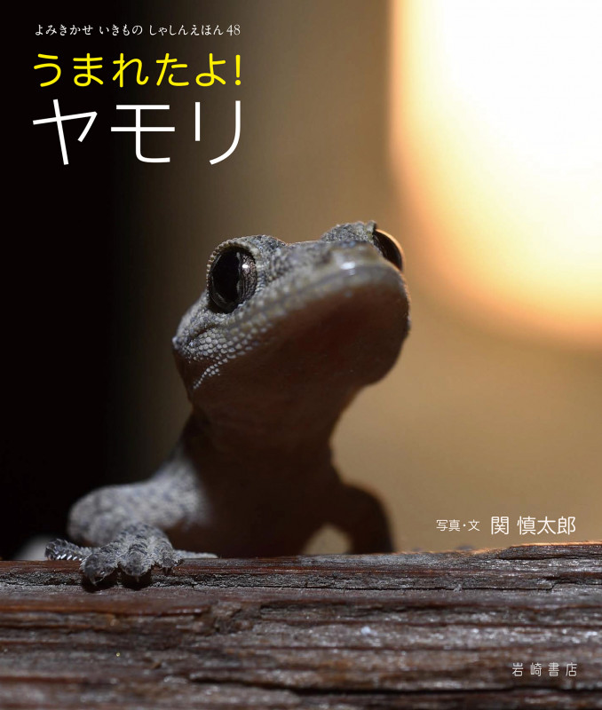 うまれたよ! ヤモリ (よみきかせ いきものしゃしんえほん)