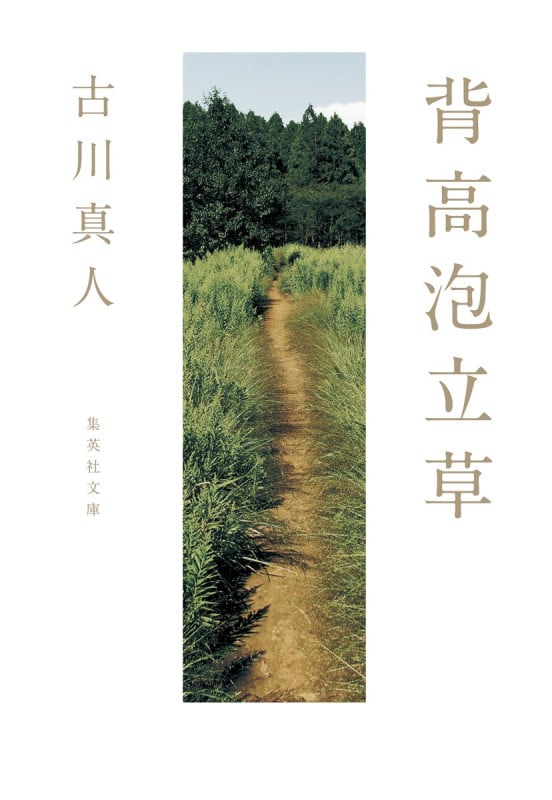 背高泡立草 (集英社文庫)