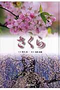 さくら