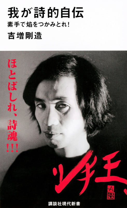 In-between 11 吉増剛造 アイルランド | 吉増剛造のあらすじ・感想