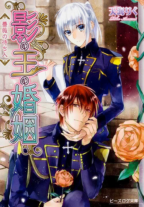 影の王の婚姻 薔薇の待ち人 (ビーズログ文庫)