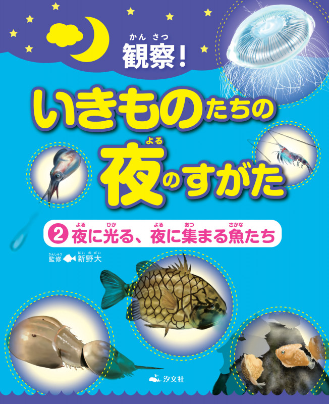②夜に光る、夜に集まる魚たち (観察! いきものたちの夜のすがた)