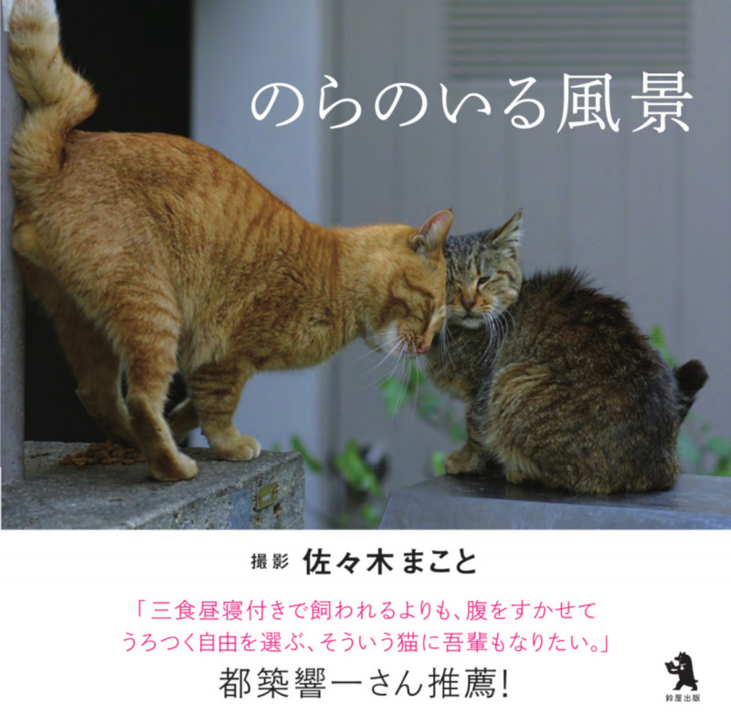 写真集 のらのいる風景