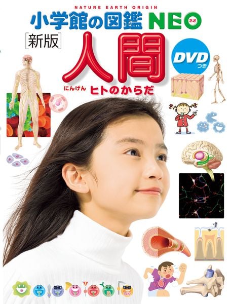 [新版]人間 DVDつき ヒトのからだ (小学館の図鑑NEO)