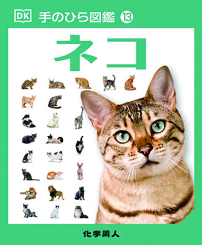 ネコ ((手のひら図鑑:13)) (手のひら図鑑)