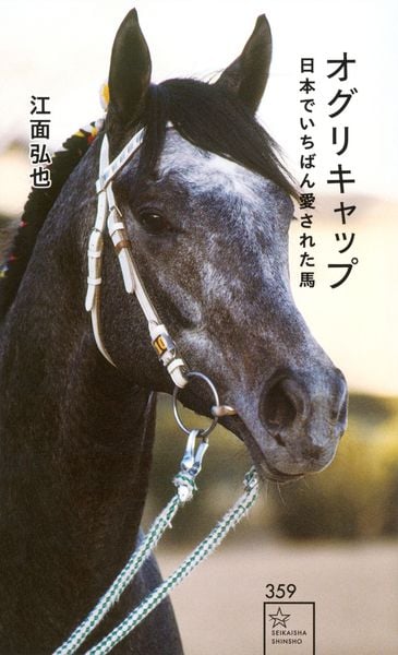 オグリキャップ 日本でいちばん愛された馬 (星海社新書)
