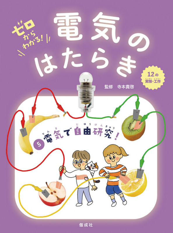 ゼロからわかる!電気のはたらき 電気で自由研究! (5)
