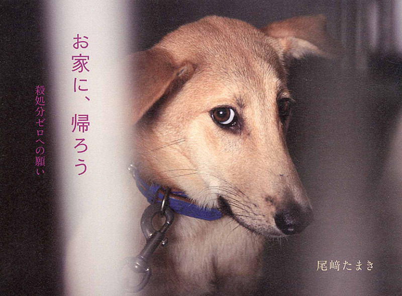 お家に、帰ろう 殺処分ゼロへの願い