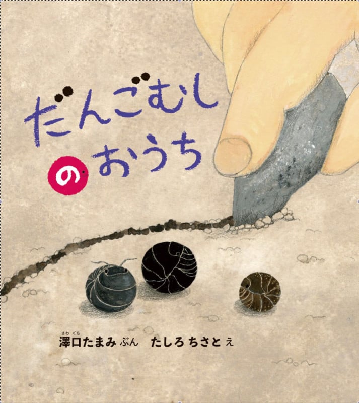 だんごむしのおうち (幼児絵本ふしぎなたねシリーズ)