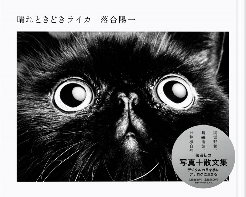 晴れときどきライカの詳細を見る
