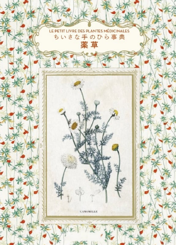 薬草 (ちいさな手のひら事典)