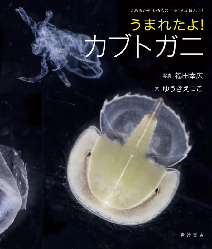 うまれたよ!カブトガニ (よみきかせいきものしゃしんえほん 43)