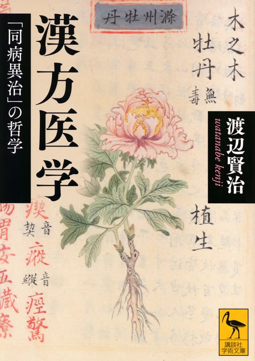 漢方医学 「同病異治」の哲学 (講談社学術文庫)