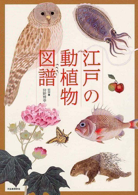 江戸の動植物図譜