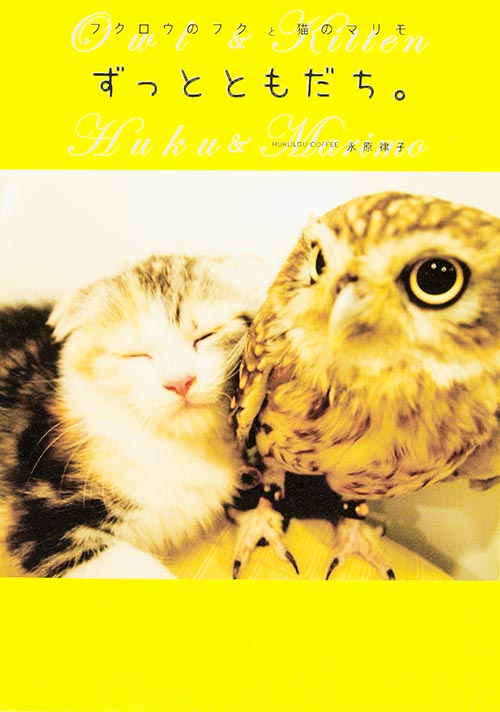 フクロウのフクと猫のマリモ ずっとともだち。の詳細を見る